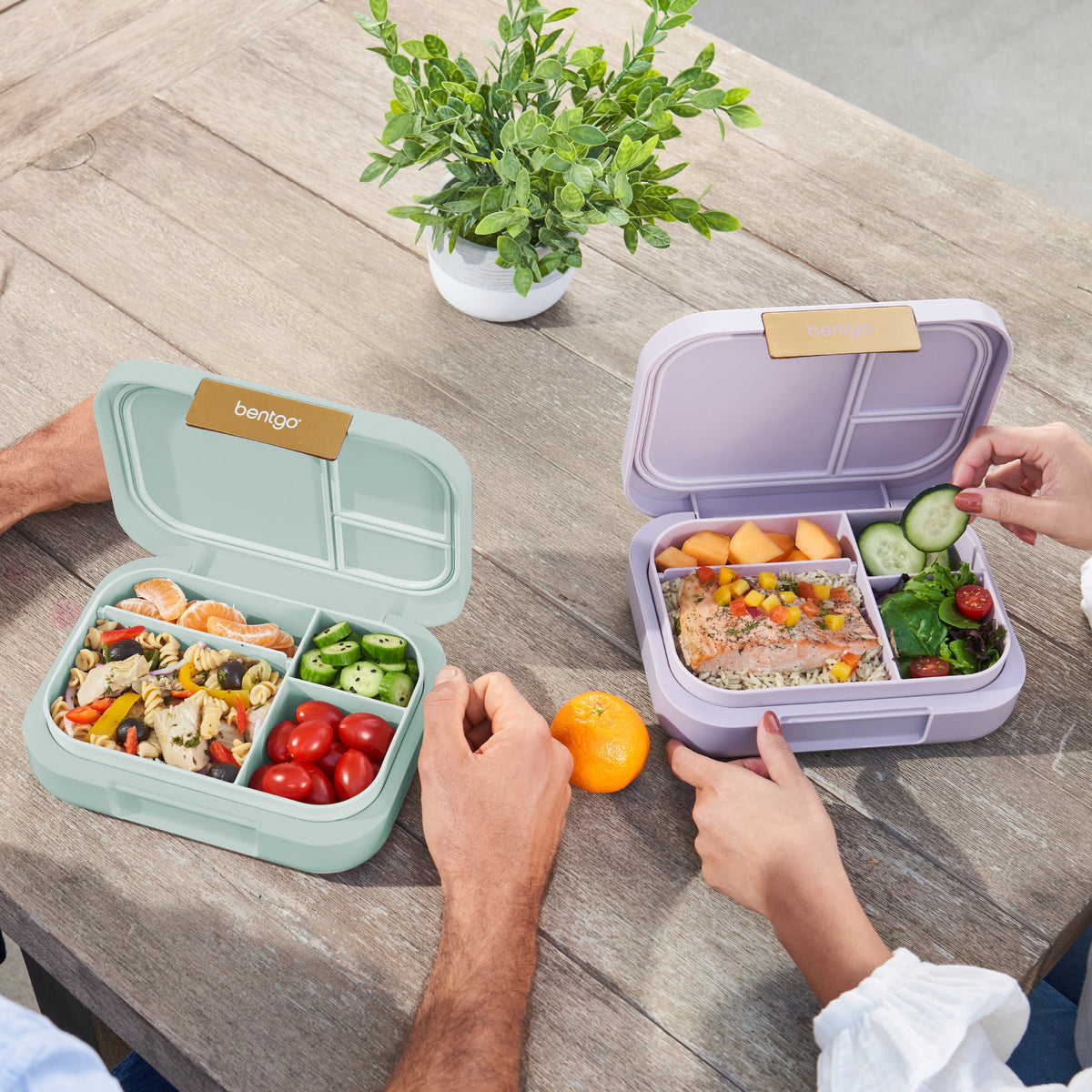 bentgo-modern-lunch-box-2-pack-w5 COSTCOBMCPRODUCTIMAGE_2.jpg